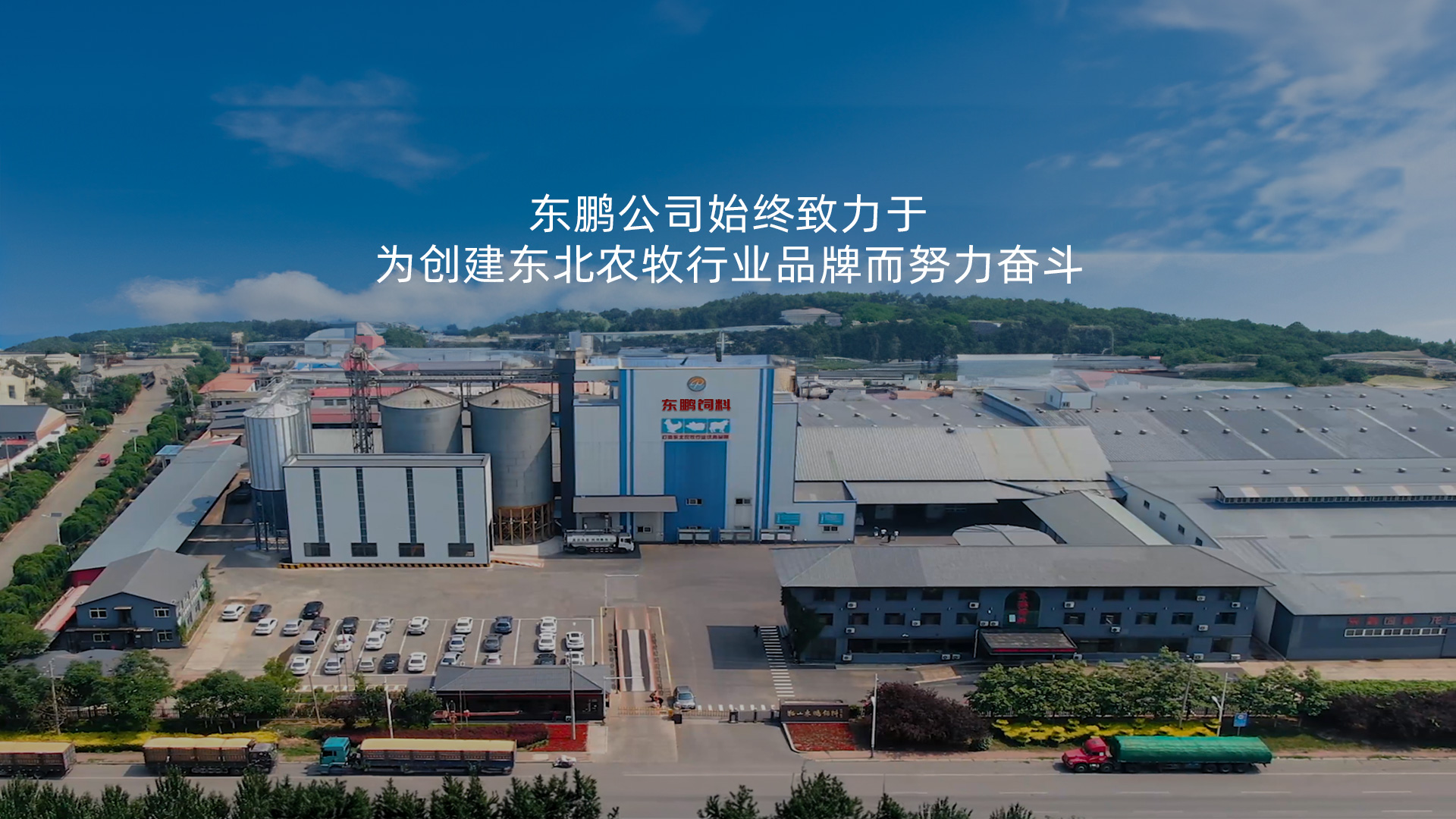 葫芦岛饲料